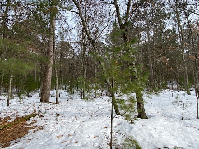 N13369 Osprey Drive Minong WI 54859 - Gilmore Lake 1540106 image28