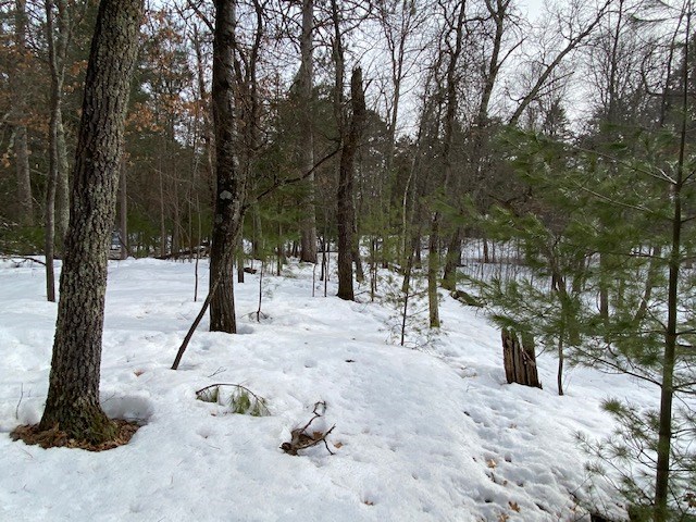 N13369 Osprey Drive Minong WI 54859 - Gilmore Lake 1540106 image29