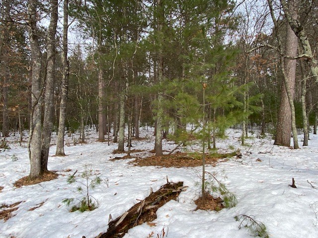 N13369 Osprey Drive Minong WI 54859 - Gilmore Lake 1540106 image30