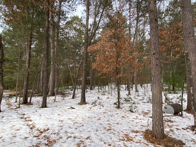 N13369 Osprey Drive Minong WI 54859 - Gilmore Lake 1540106 image31