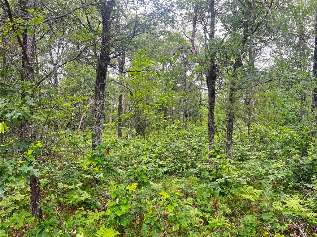 N13775 Flowage Road Minong WI 54859 1583578 image1