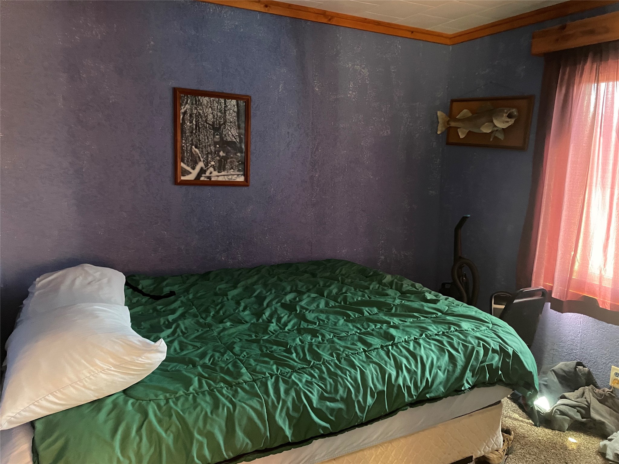 N14015 Central Avenue W Fifield WI 54524 1600153 image37