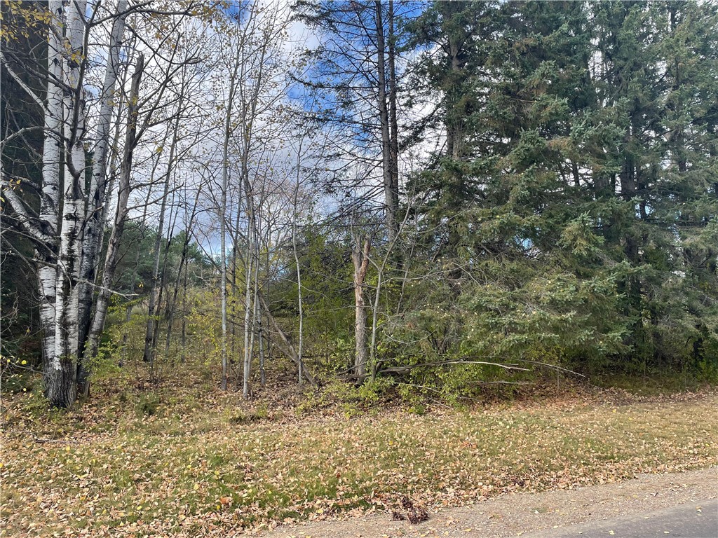 N14019 Linden Avenue Fifield WI 54524 1596860 image10