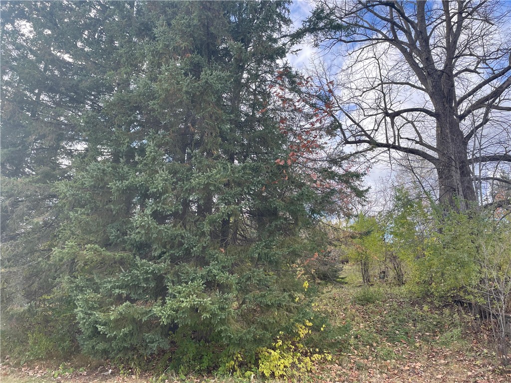 N14019 Linden Avenue Fifield WI 54524 1596860 image11