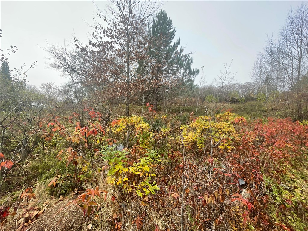 N14019 Linden Avenue Fifield WI 54524 1596860 image2