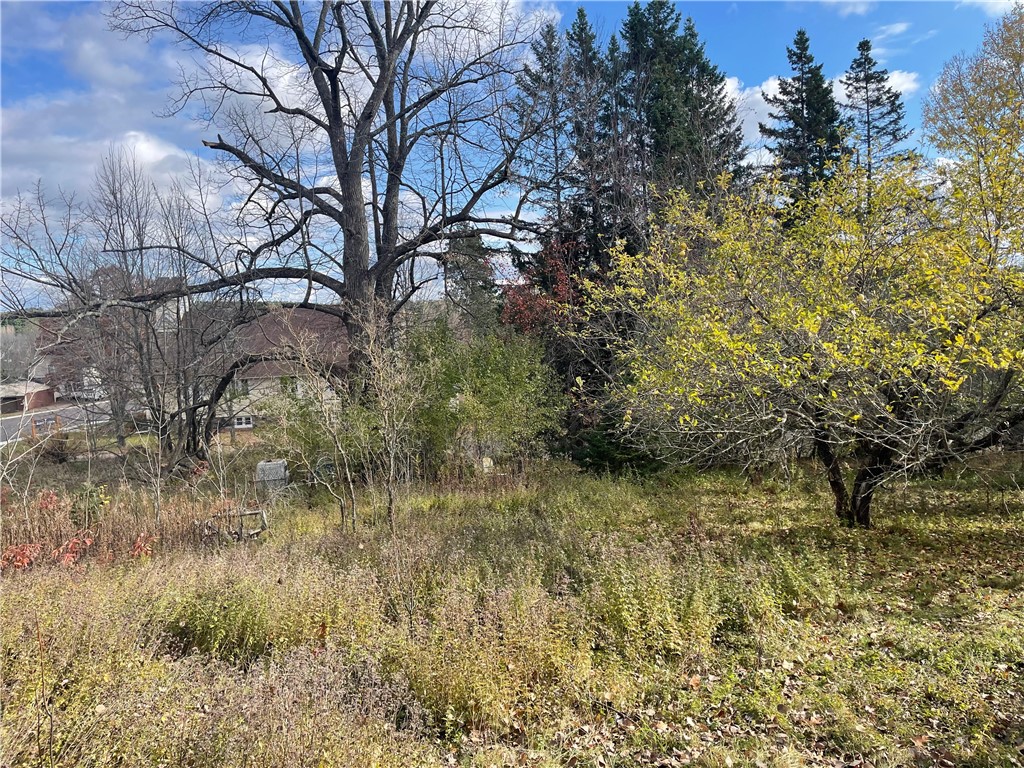 N14019 Linden Avenue Fifield WI 54524 1596860 image4