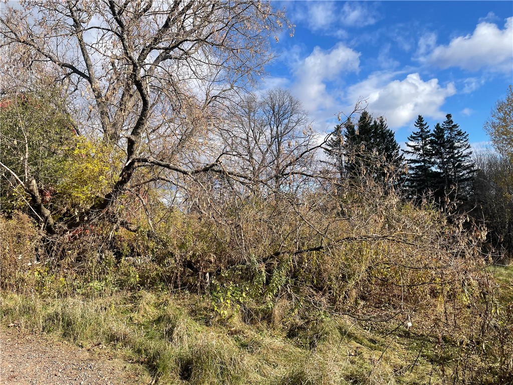 N14019 Linden Avenue Fifield WI 54524 1596860 image5