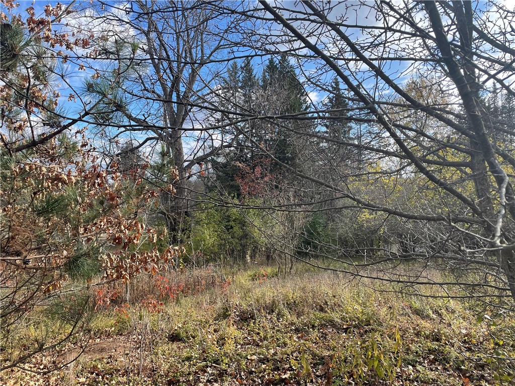 N14019 Linden Avenue Fifield WI 54524 1596860 image9