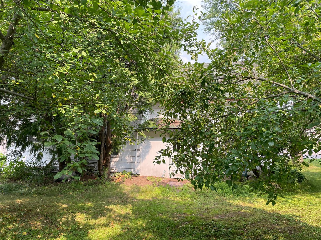 N14069 Flambeau Avenue Fifield WI 54524 1596845 image7