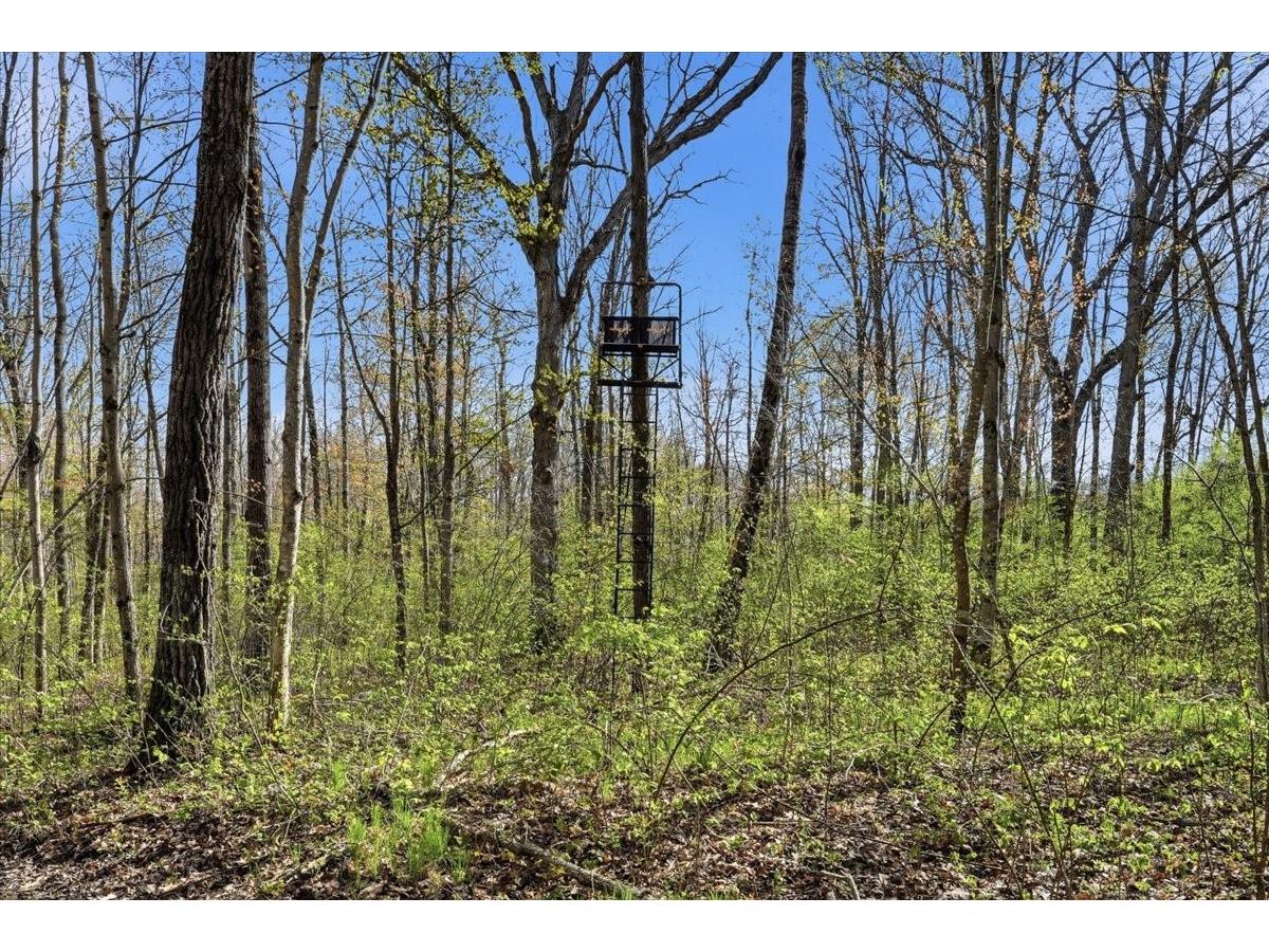 N1520 Hollow Road Stanley WI 54768 1600765 image38