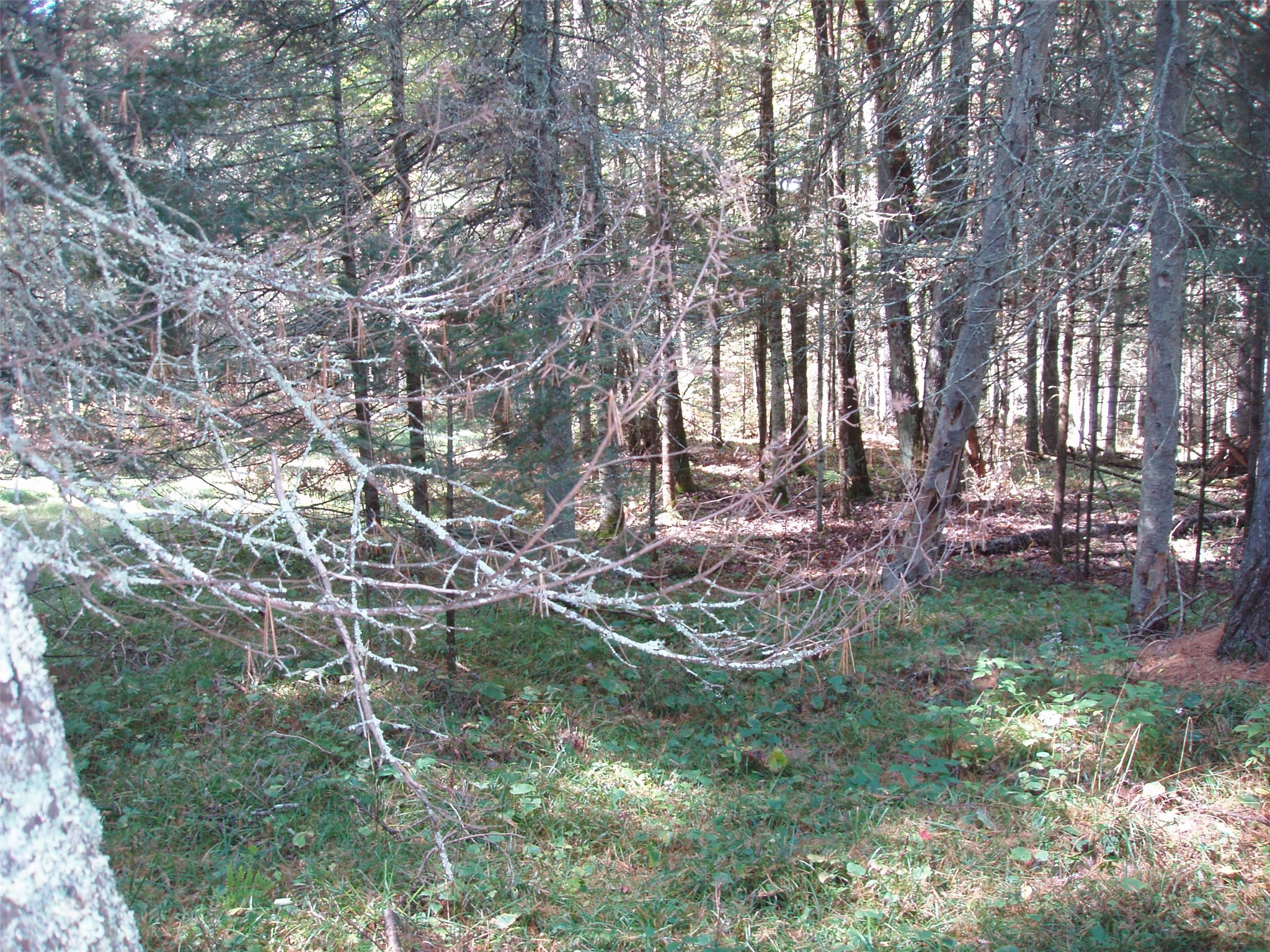 N15671 Evergreen Road Park Falls WI 54552 - Southfork of the Flambeau Rive 1599623 image10