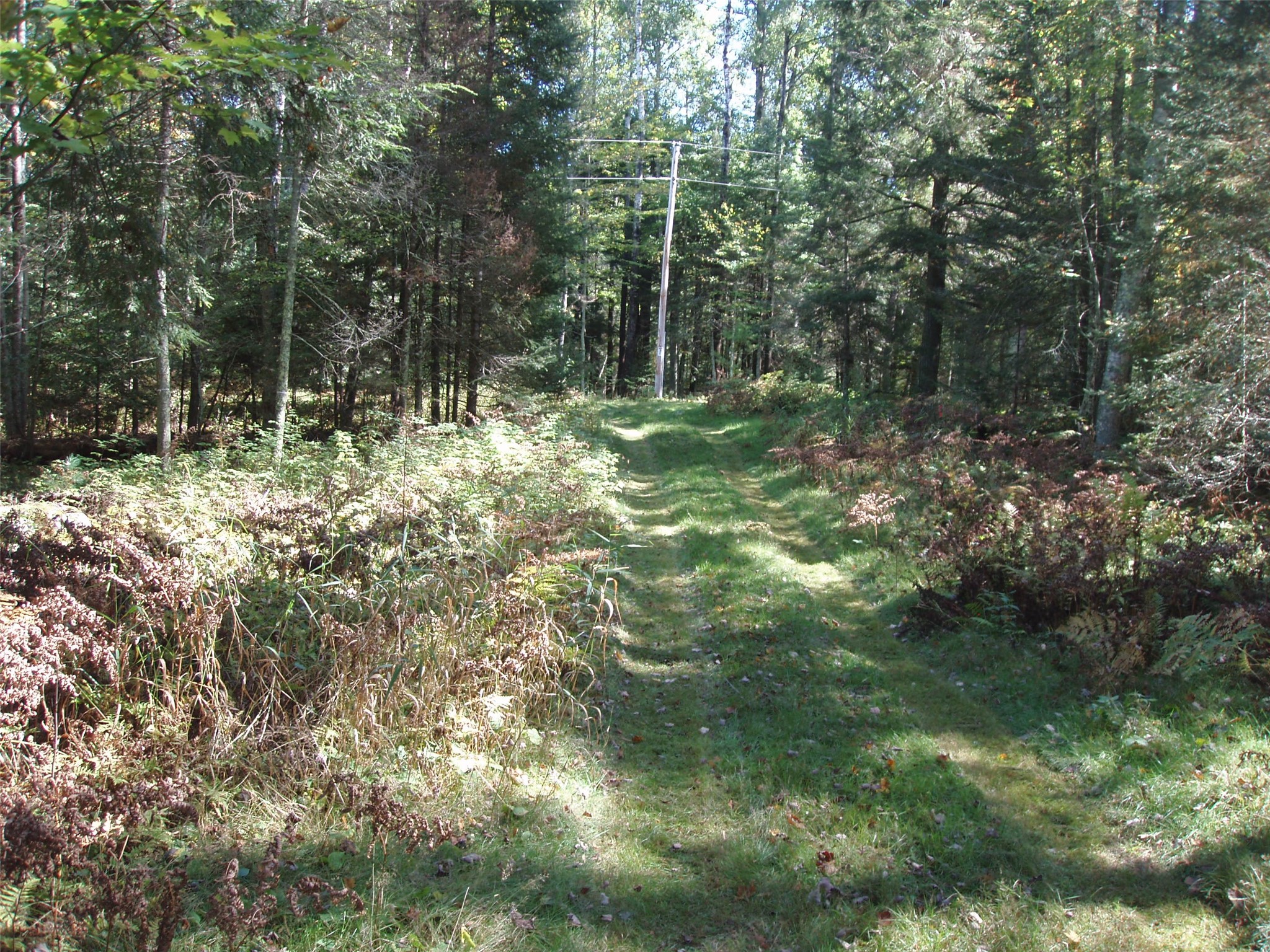 N15671 Evergreen Road Park Falls WI 54552 - Southfork of the Flambeau Rive 1599623 image11