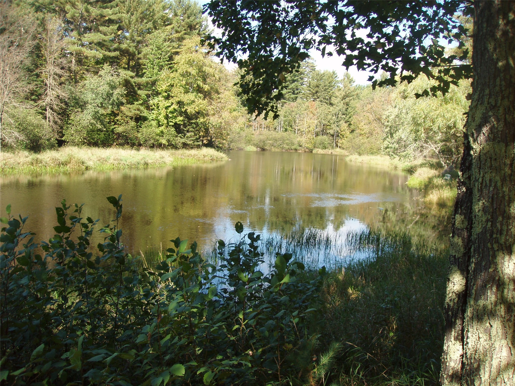 N15671 Evergreen Road Park Falls WI 54552 - Southfork of the Flambeau Rive 1599623 image2