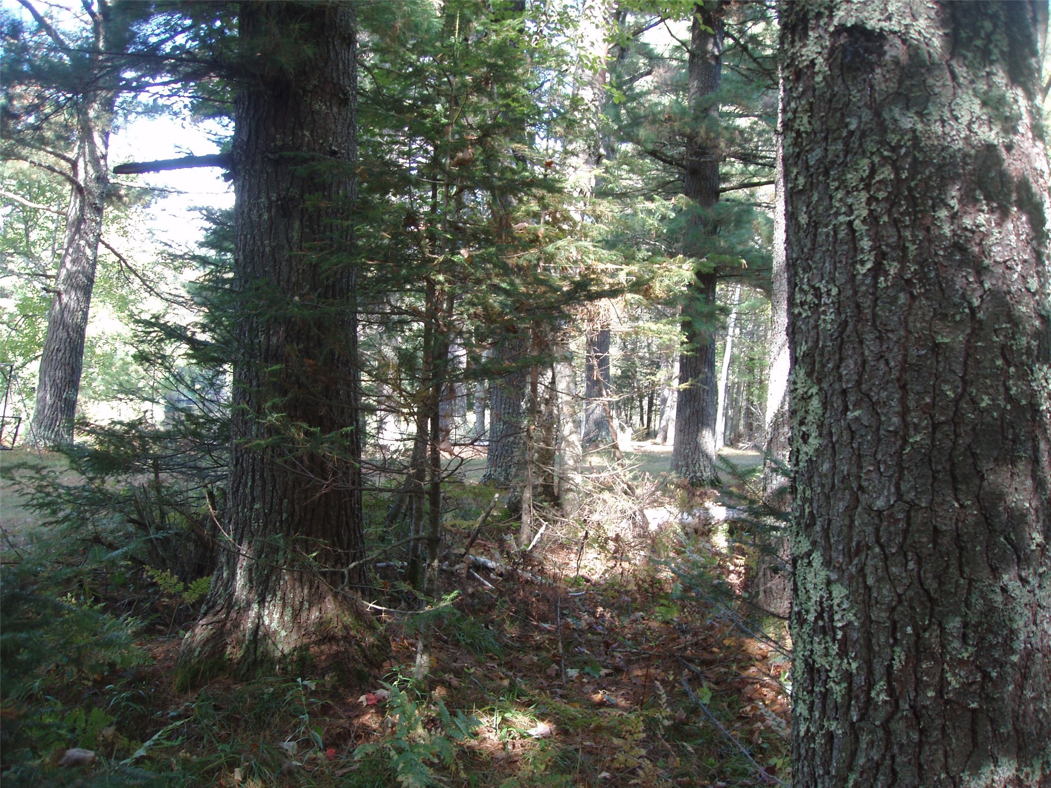 N15671 Evergreen Road Park Falls WI 54552 - Southfork of the Flambeau Rive 1599623 image23