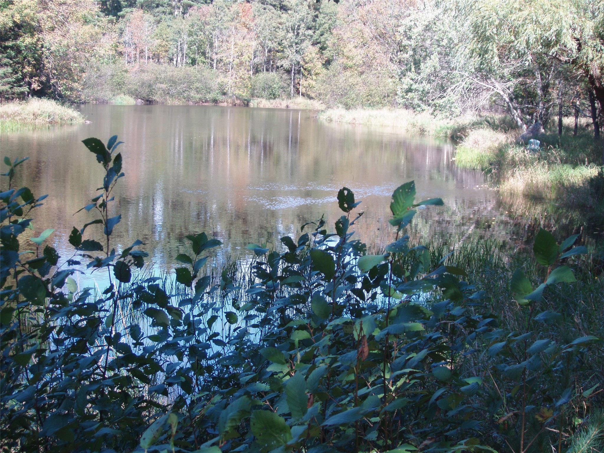 N15671 Evergreen Road Park Falls WI 54552 - Southfork of the Flambeau Rive 1599623 image3