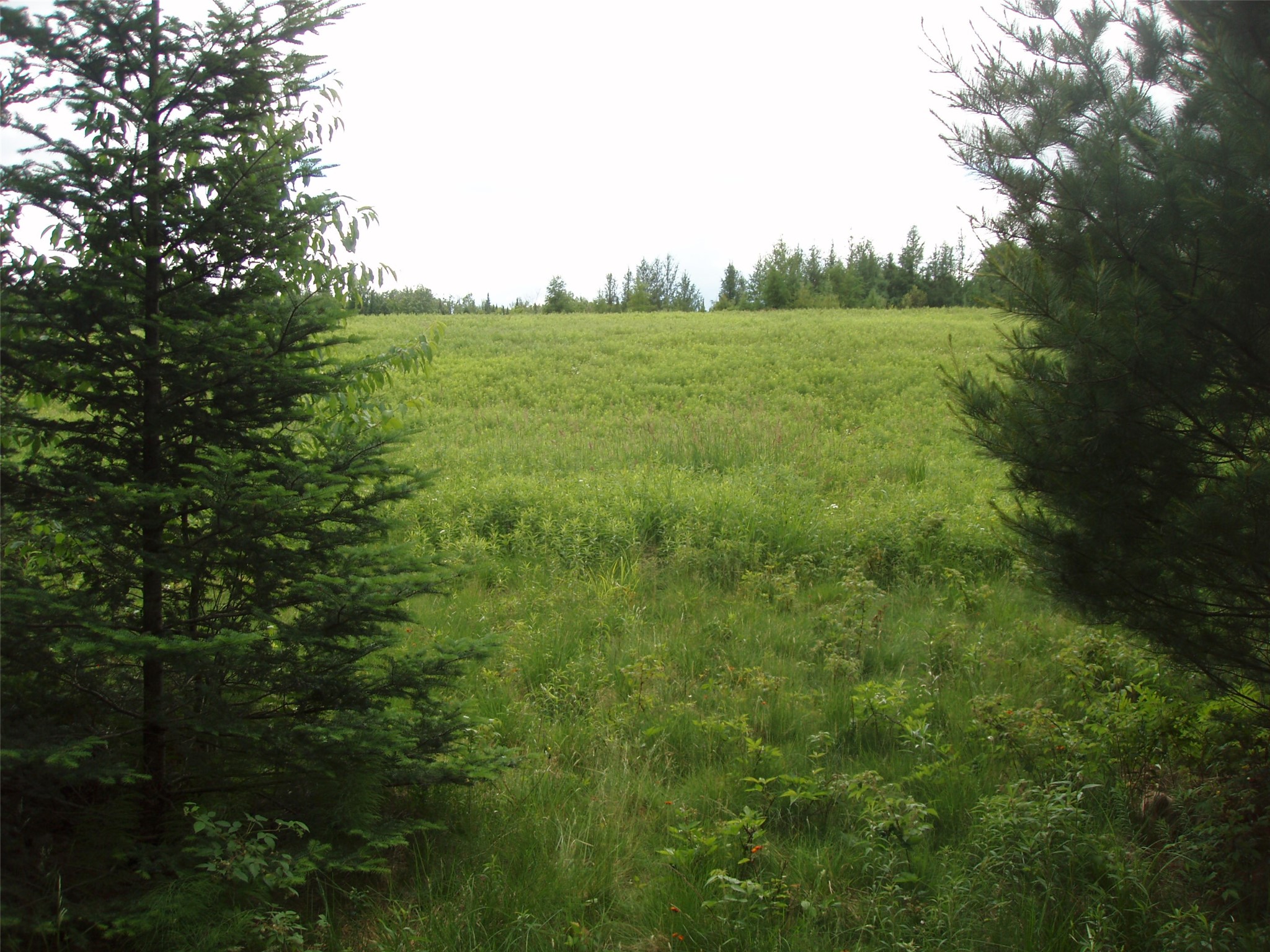 N16798 Bass Lake Road Butternut WI 54514 1603059 image30