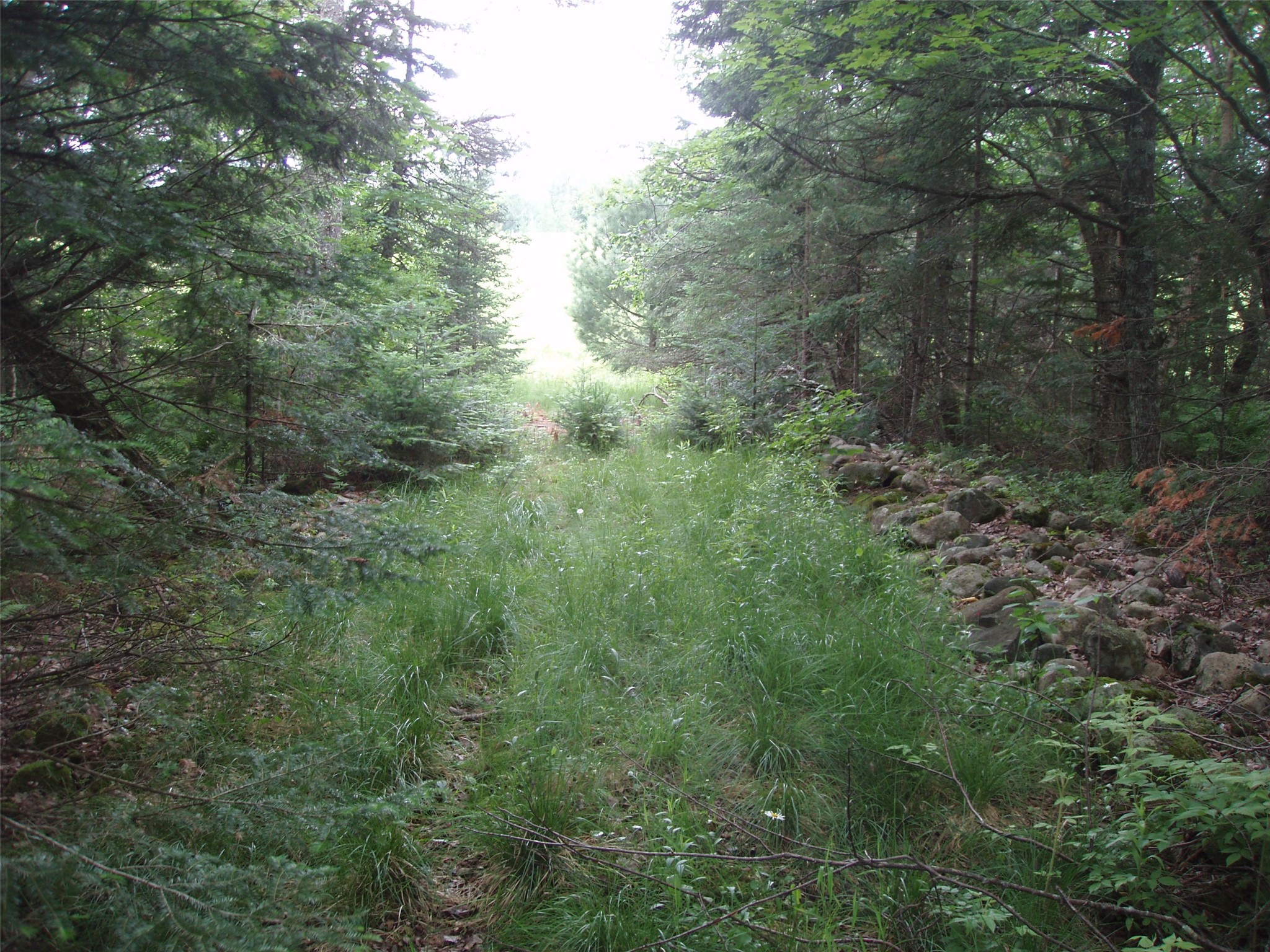 N16798 Bass Lake Road Butternut WI 54514 1603059 image31