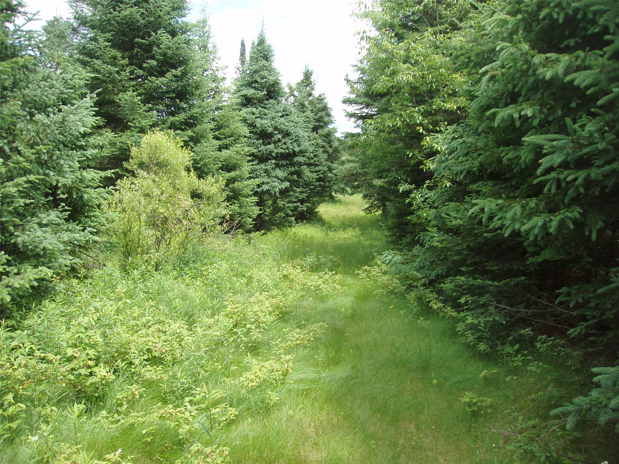 N16798 Bass Lake Road Butternut WI 54514 1603059 image32