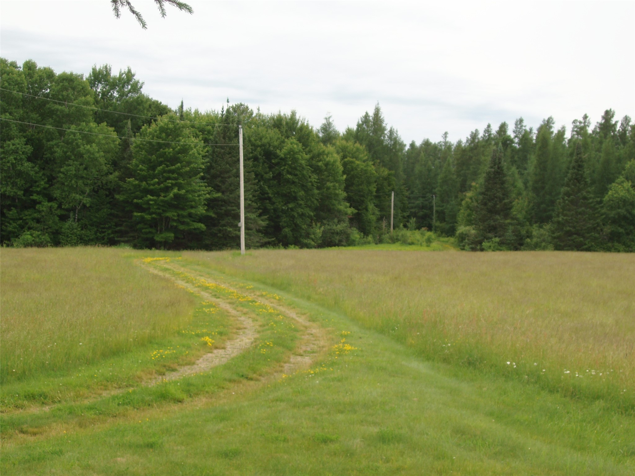 N16798 Bass Lake Road Butternut WI 54514 1603059 image33