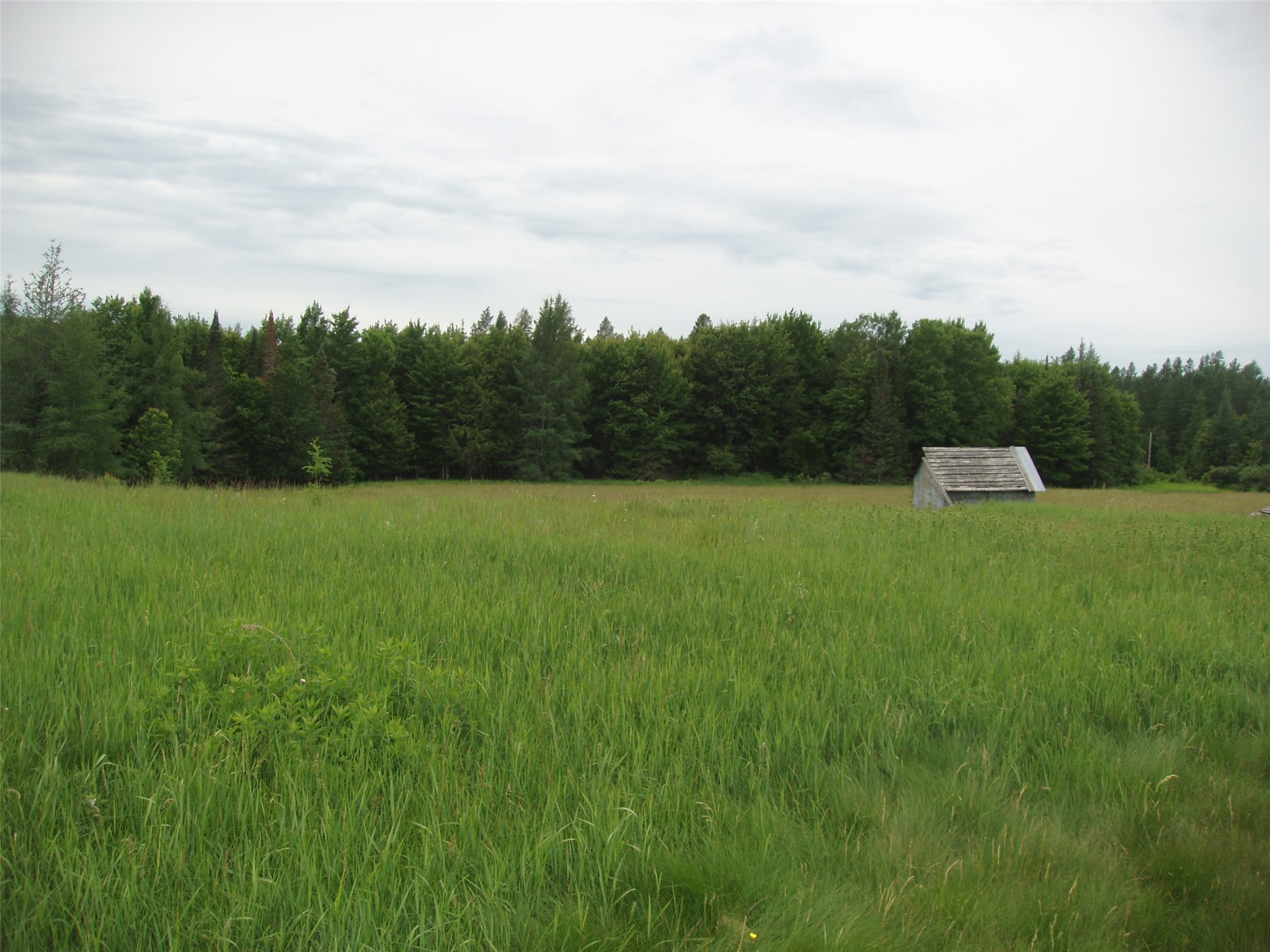 N16798 Bass Lake Road Butternut WI 54514 1603059 image34