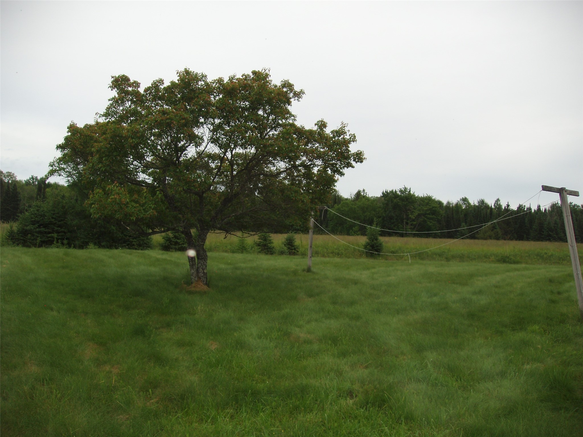 N16798 Bass Lake Road Butternut WI 54514 1603059 image35