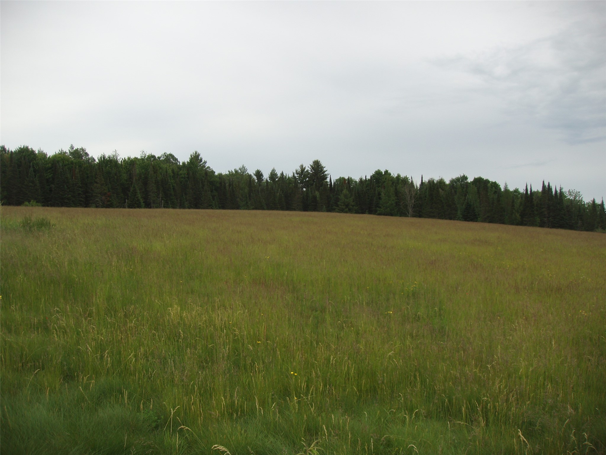 N16798 Bass Lake Road Butternut WI 54514 1603059 image36
