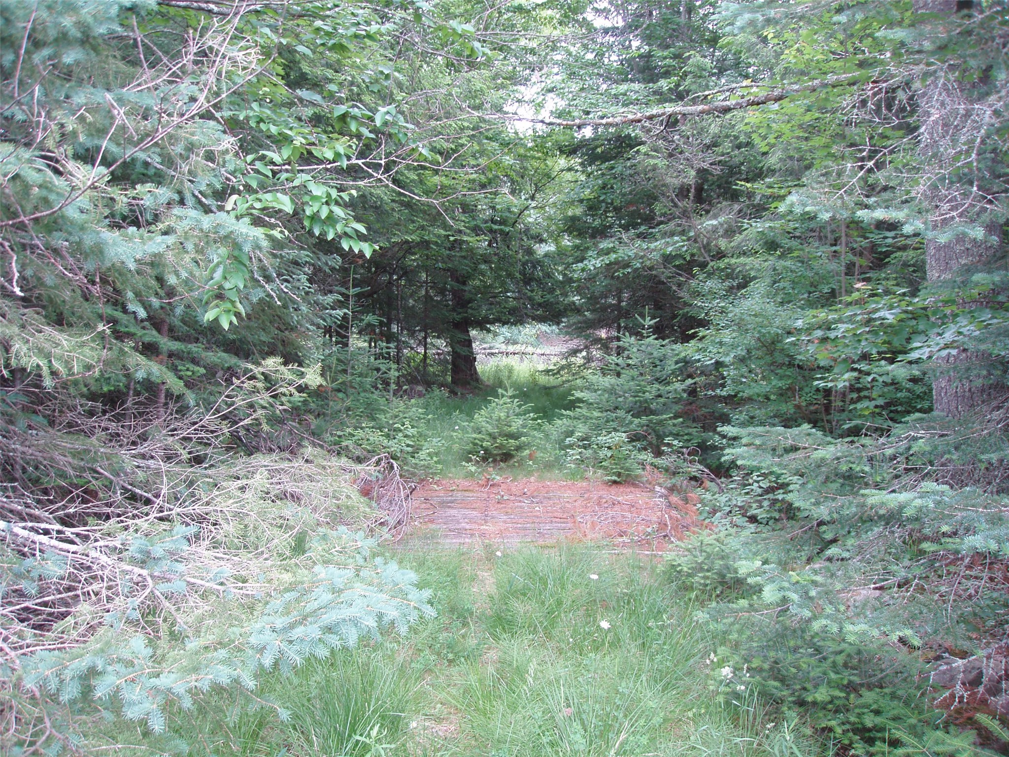 N16798 Bass Lake Road Butternut WI 54514 1603059 image38
