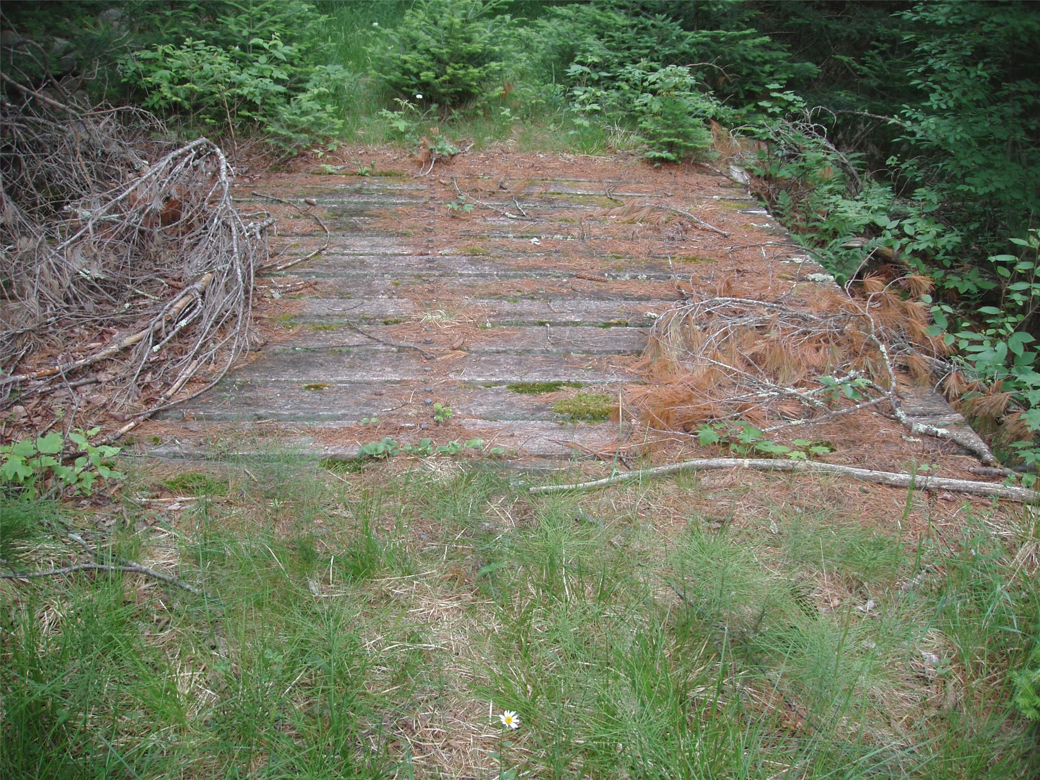N16798 Bass Lake Road Butternut WI 54514 1603059 image39