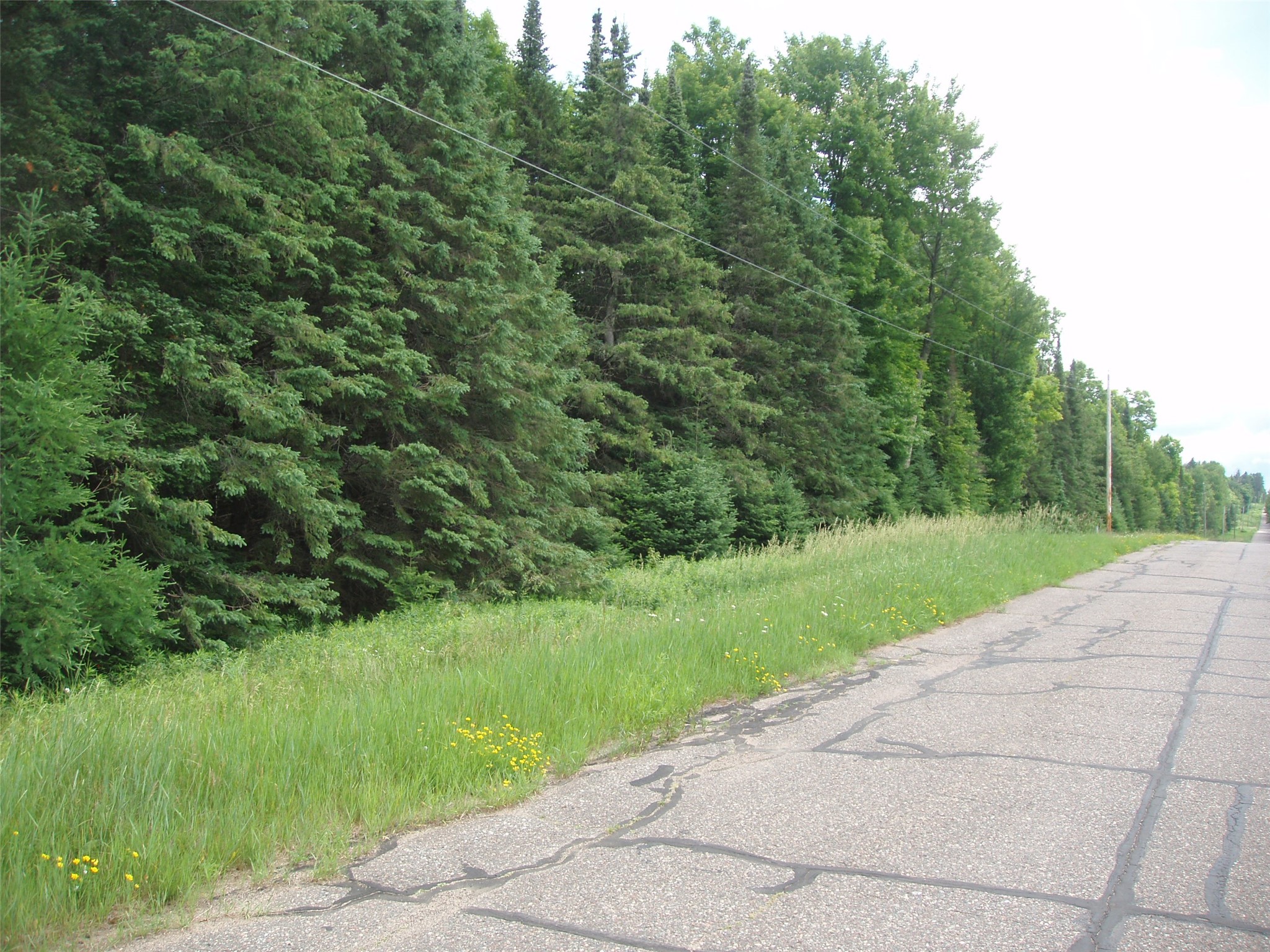N16798 Bass Lake Road Butternut WI 54514 1603059 image41