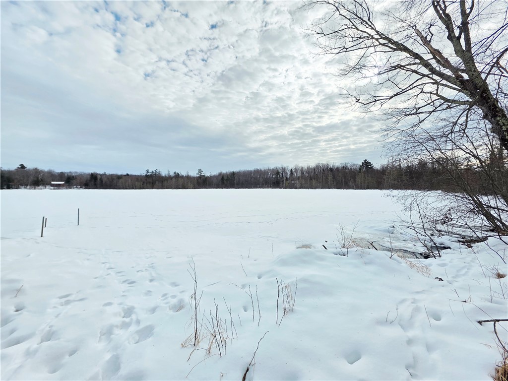 N2180 Pondell Lane W Bruce WI 54819 - Bog Lake 1598288 image33