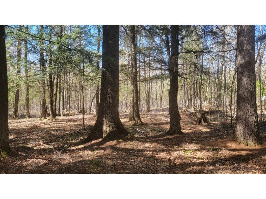 N2233 Highway 13 Ogema WI 54459 1593457 image1