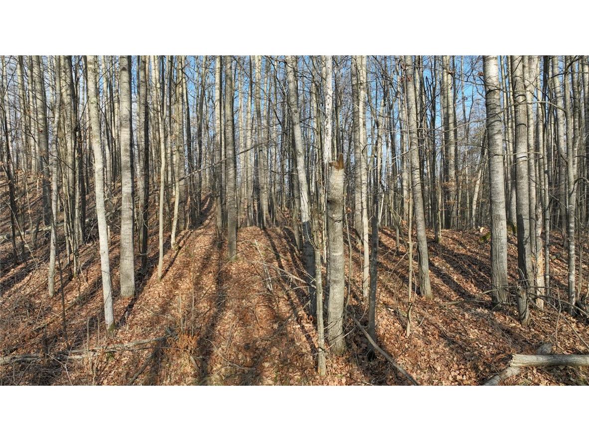 N2383 Loons Landing Road Weyerhaeuser WI 54895 - Two Bear 1580135 image17