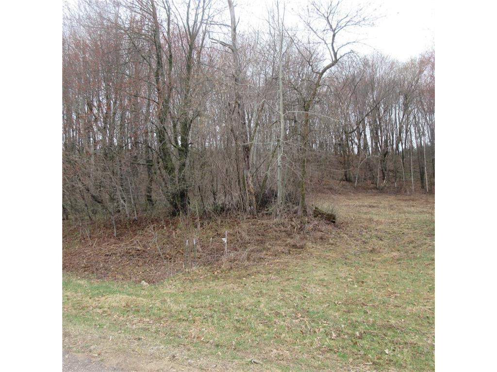 N2485 570th Street Menomonie WI 54751 1572274 image1
