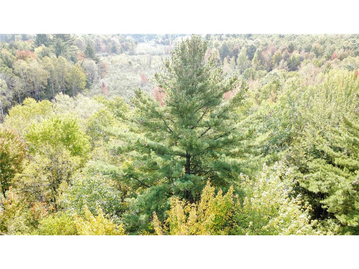 N2532 Badger Avenue Granton WI 54436 1596033 image1