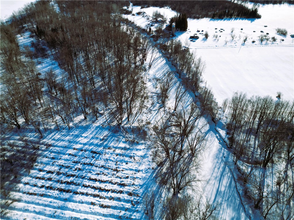 N2639 Vine Street Conrath WI 54731 - Main Creek 1597839 image30