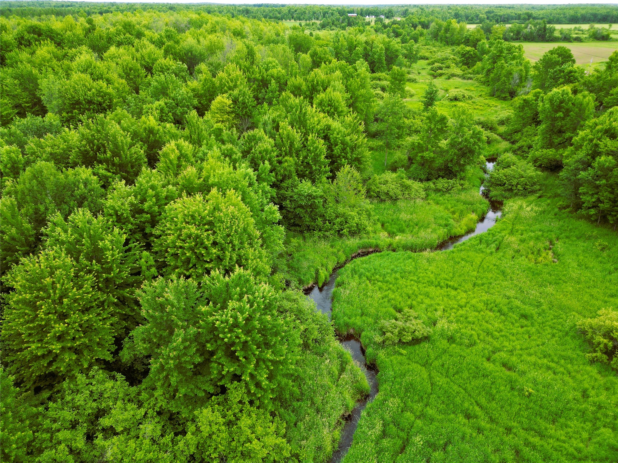N2737 E Grow Road Sheldon WI 54766 - Skunk Creek 1602548 image34