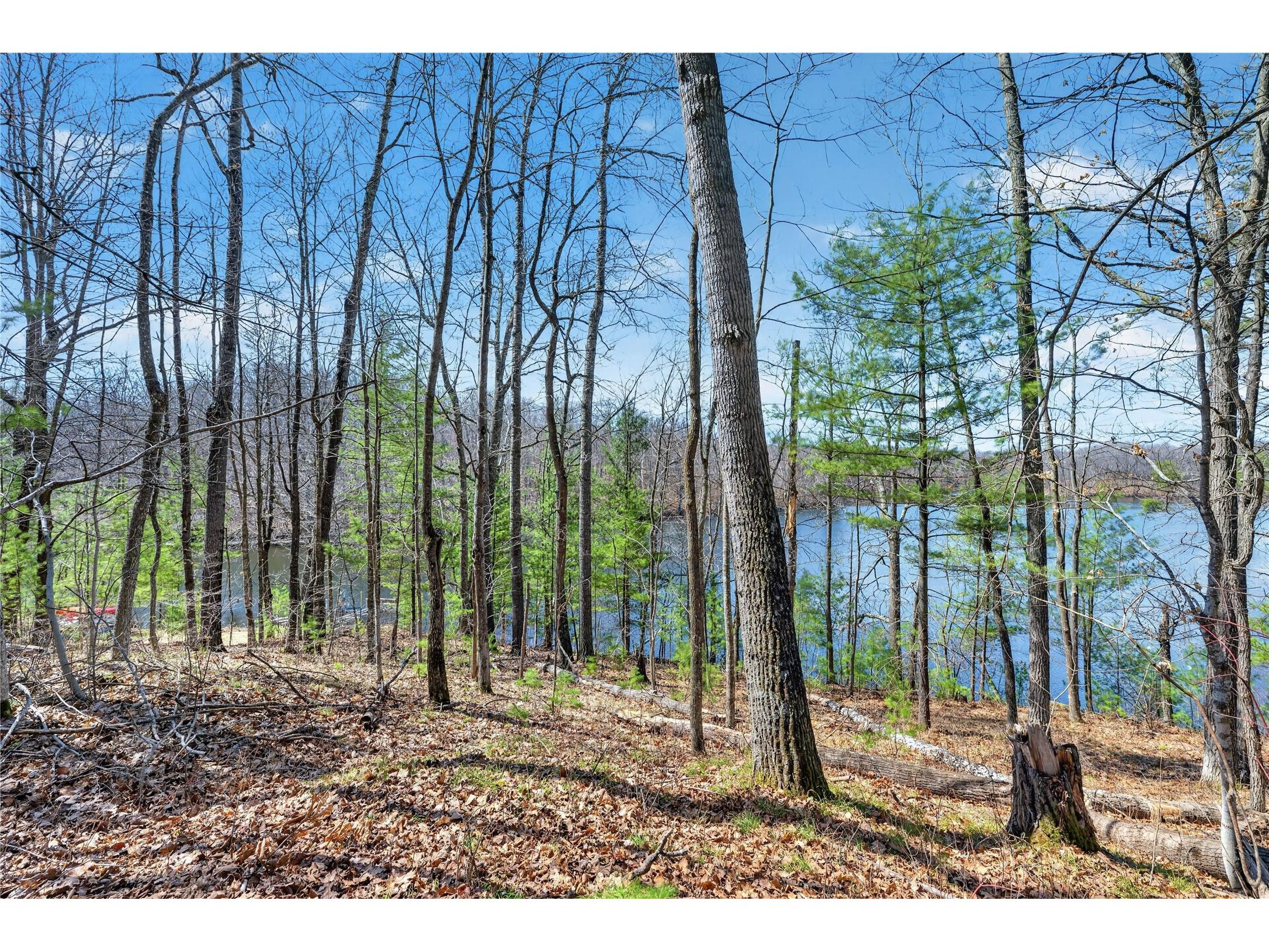 N291 Balsam Lake Road Birchwood WI 54817 - Balsam/Red Cedar/Hemlock 1600362 image6