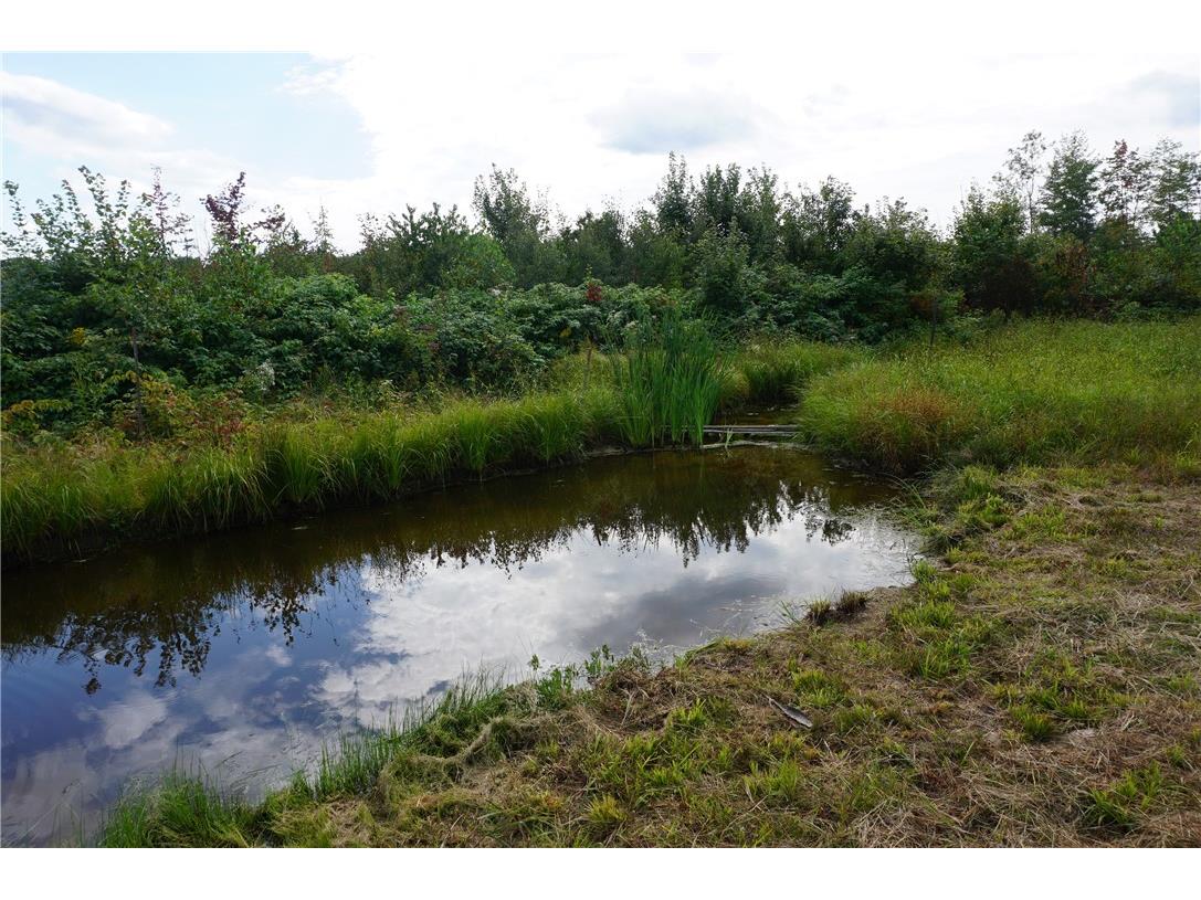 N2966 Badger Avenue Granton WI 54456 1595288 image22