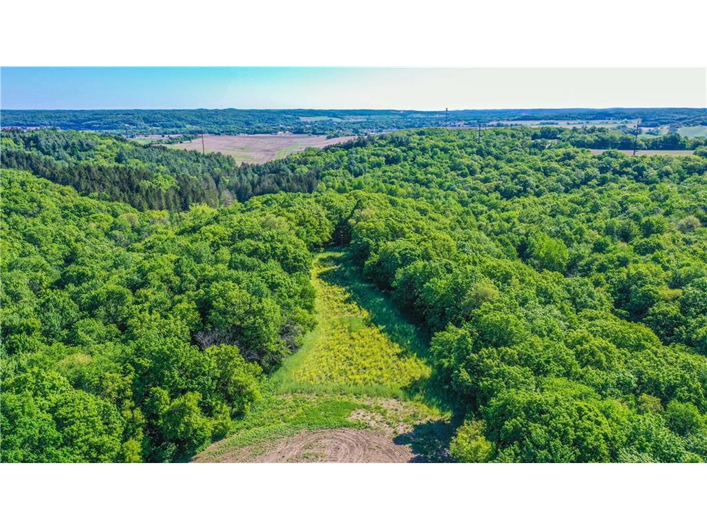N29724 Brekke Ridge Rd Blair WI 54616 1582443 image1