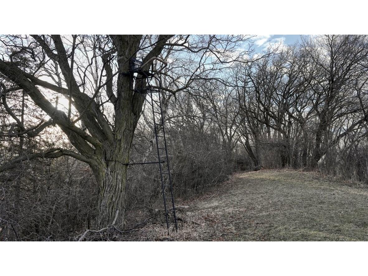 N30732 Square Bluff Road Blair WI 54616 1590574 image46