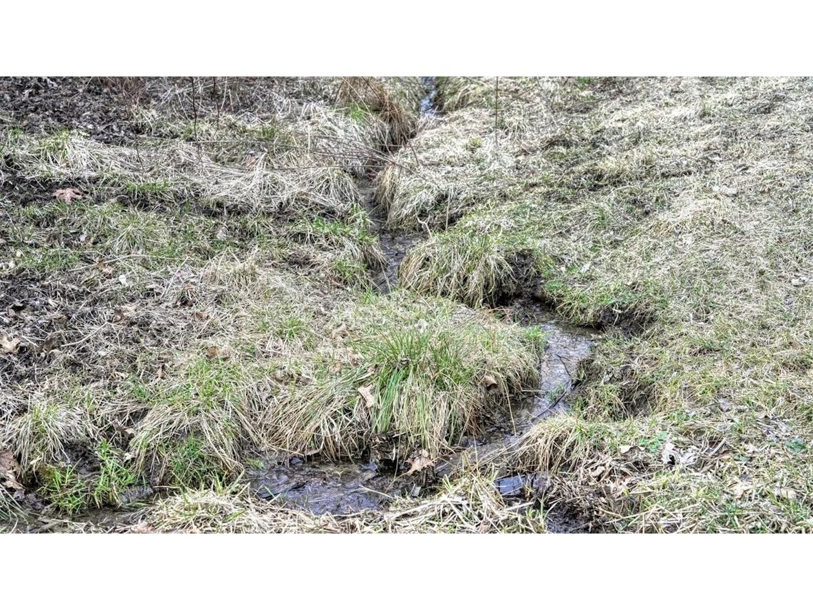 N30732 Square Bluff Road Blair WI 54616 1590574 image48