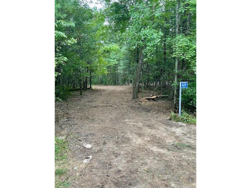 N329 Arbutus Drive Neillsville WI 54456 - LAKE ARBUTUS 1585400 image1