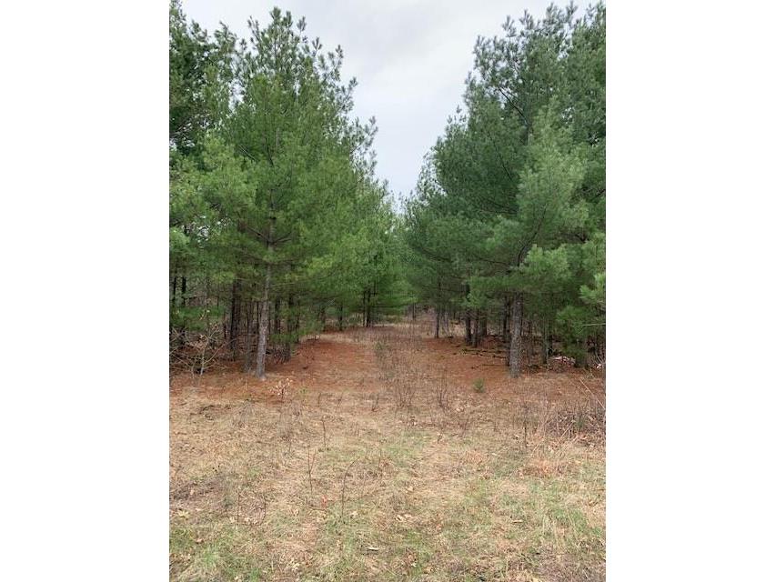 N3330 Pine Street Millston WI 54615 1573067 image1