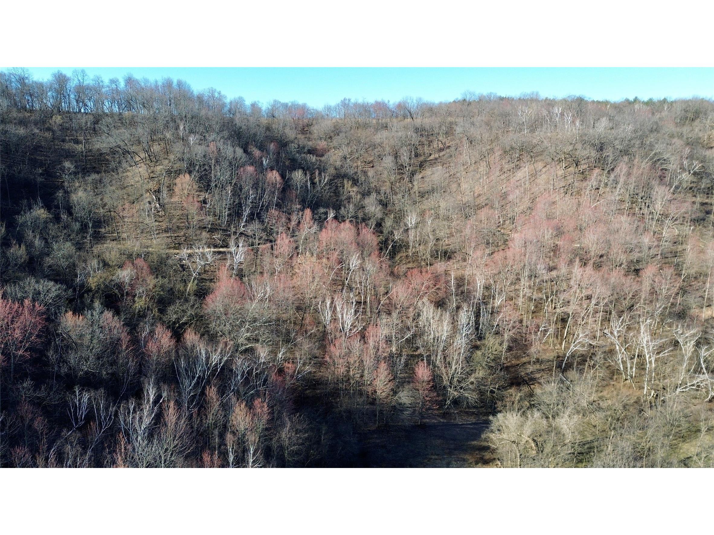 N3430 County Road Ii Bangor WI 54614 1599877 image1