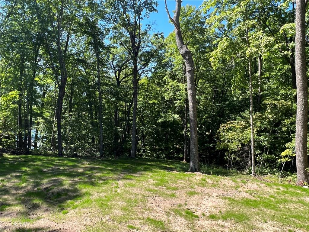 N3441 Blackhawk Road, Sarona, WI 54870 MLS 1568354 Edina Realty