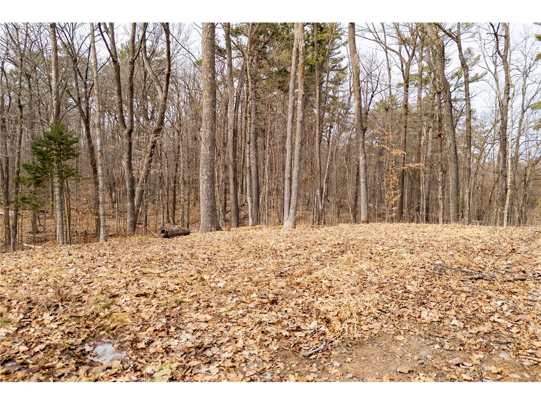 N3441 Blackhawk Road Sarona WI 54870 1589408 image1