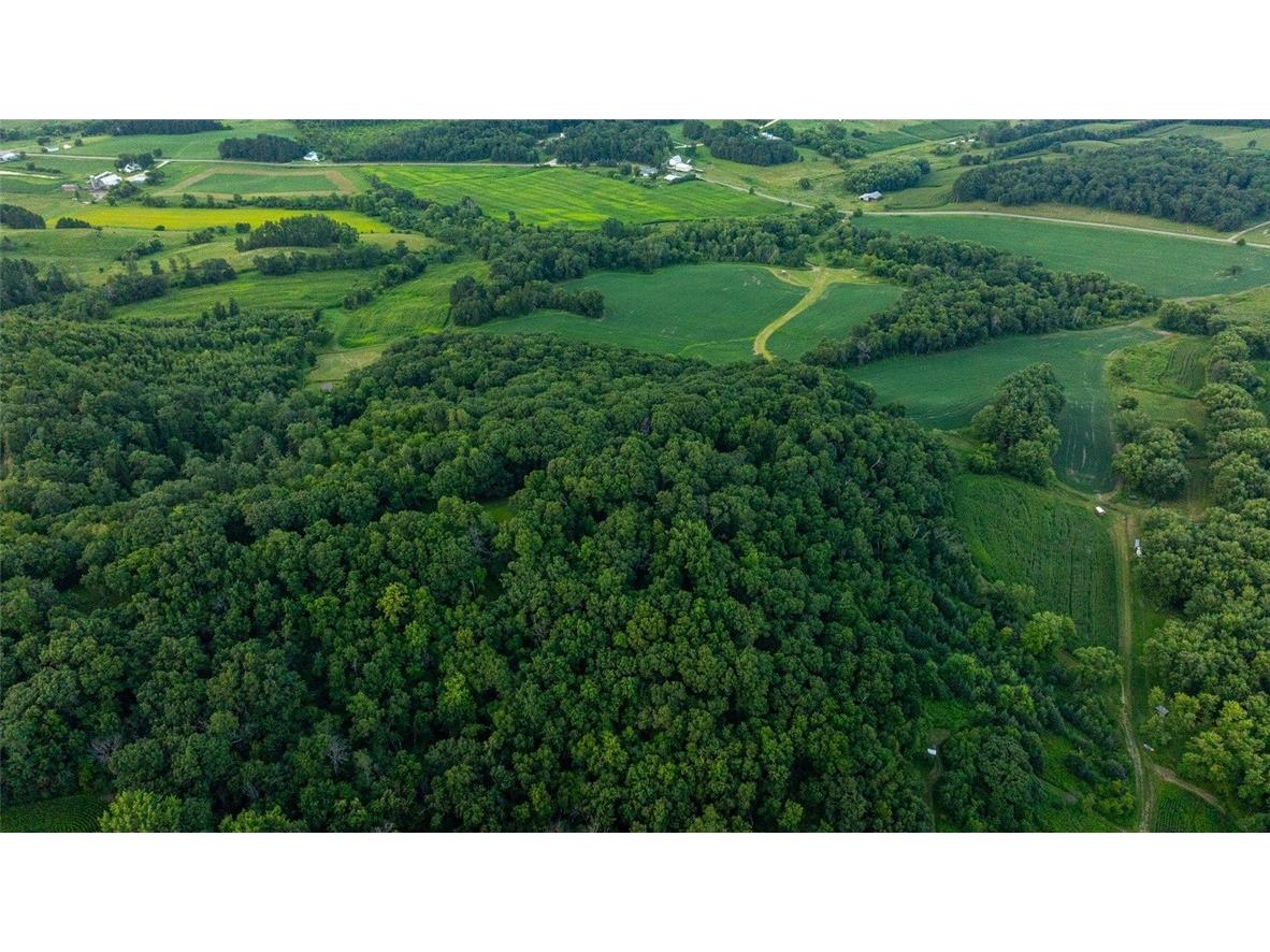 N34701 County Road S Blair WI 54616 - FLY 1594015 image1