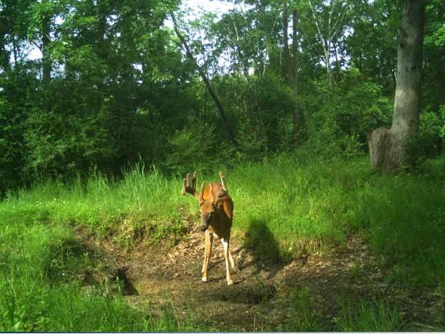 N34701 County Road S Blair WI 54616 - FLY 1594015 image10