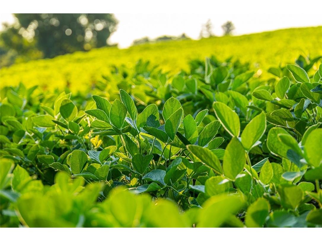 N34701 County Road S Blair WI 54616 - FLY 1594015 image11