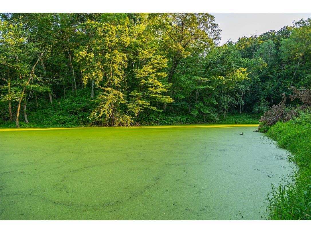 N34701 County Road S Blair WI 54616 - FLY 1594015 image12